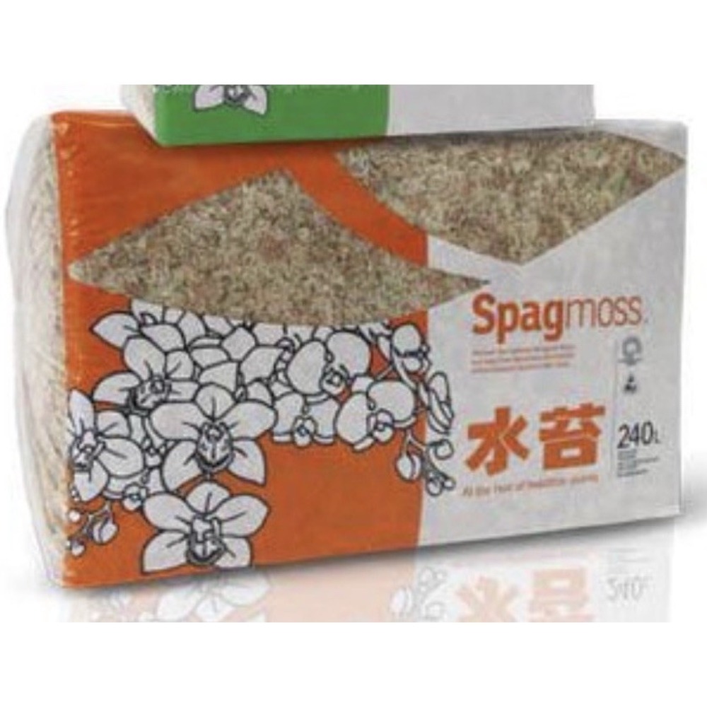 New Zealand Sphagnum Moss for Kokedama, Moss Ball Bonsai,Orchid Plant Huge 240L